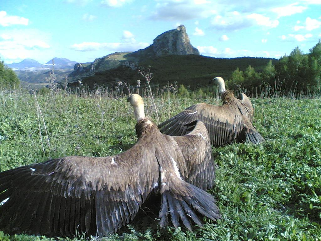 Casa Rural Coripe Bagian luar foto